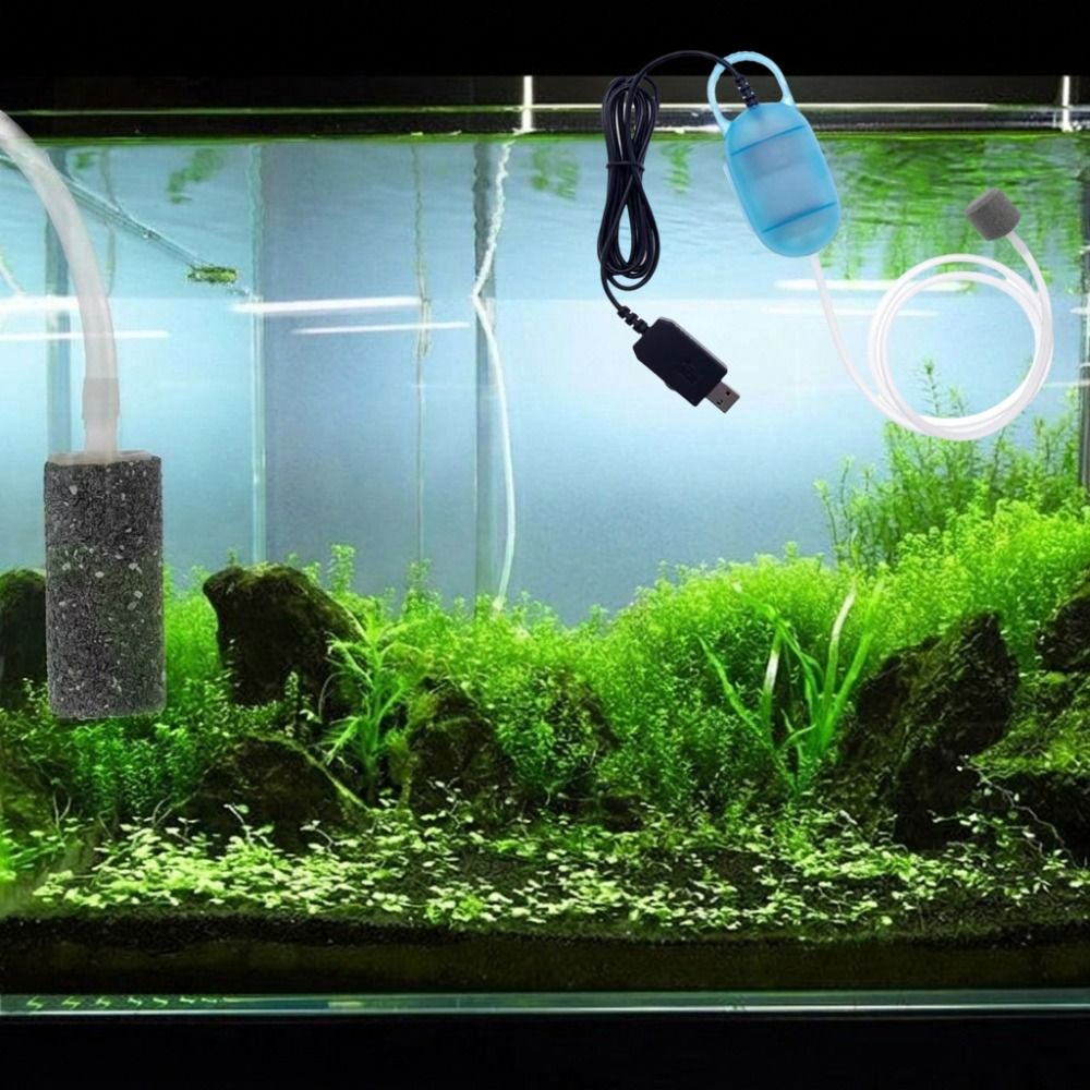 Aquarium Fish And Supplies - Aquarium Supplies Mini Fish Tank Oxygen