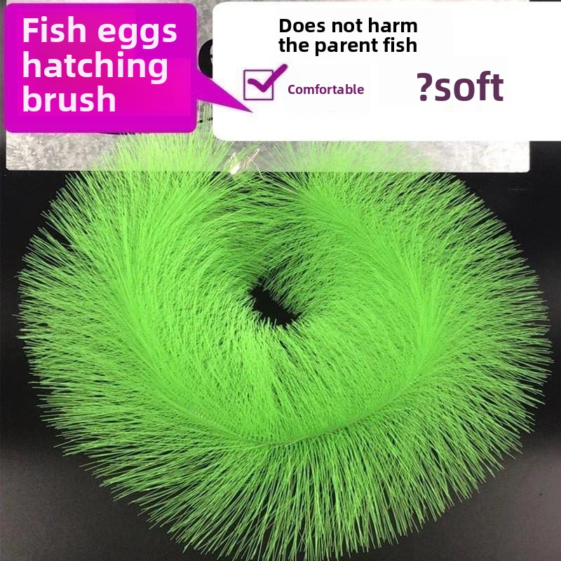 Aquarium Fish Breeding - Breeding Grass for Koi Fish Egg