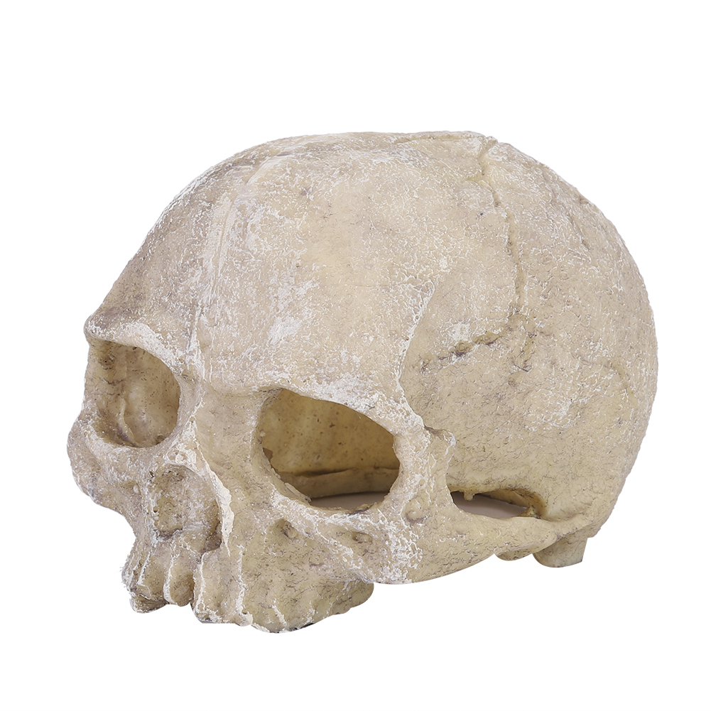 Aquarium Fish Hideout - Resin Simulated Head Bone Skull Statue
