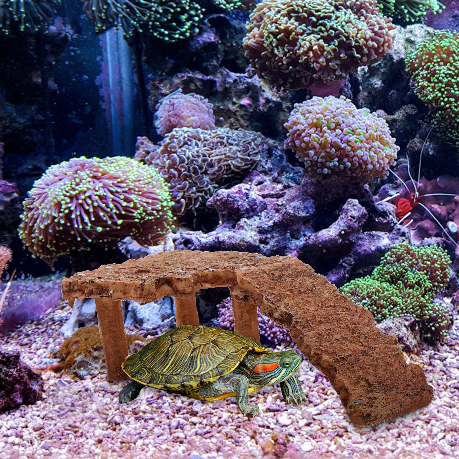Aquarium Fish Dragon - Creative Reptile Basking Platform Turtle Tank