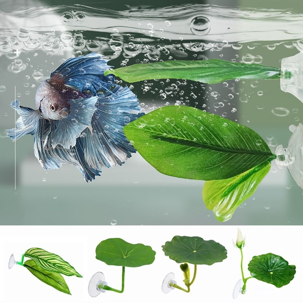 Plastic Betta Fish Rest Leaf S – обзор и цена Aquarium Fish Hideout