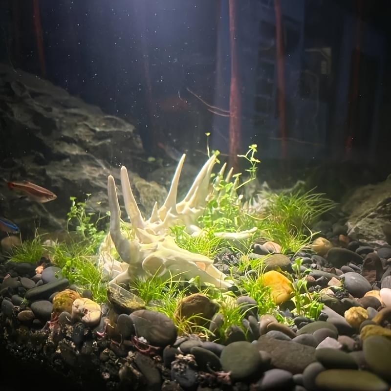 1pc Dragon-Shaped Fishbone Dec – обзор и цена Aquarium Fish Dragon