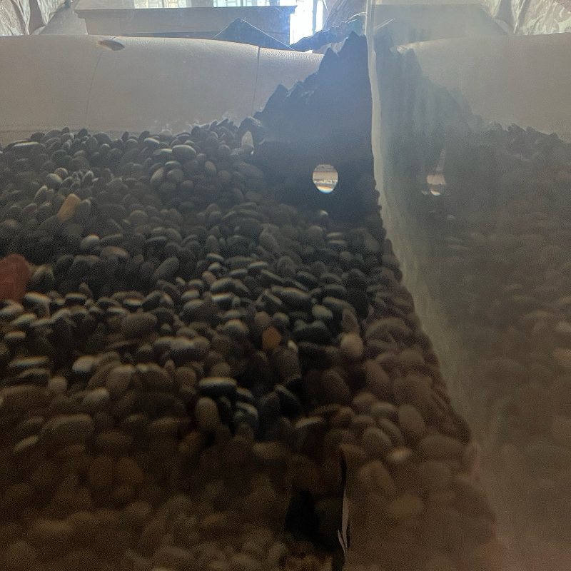 Aquarium Decoration Fish Tank  – обзор и цена Aquarium Fish Parrot