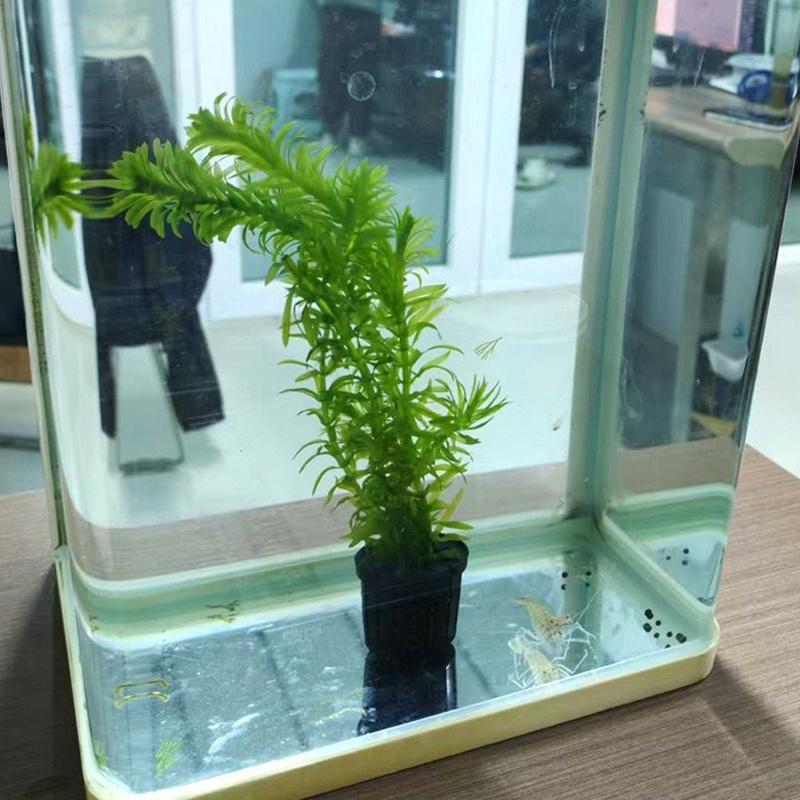 4Pcs Pet Fish Tank Landscaping – обзор и цена Aquarium Fish Usa