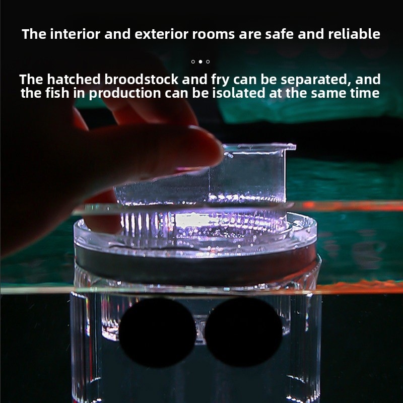 Acrylic Breeding Box Aquarium  – обзор и цена Aquarium Fish Parrot