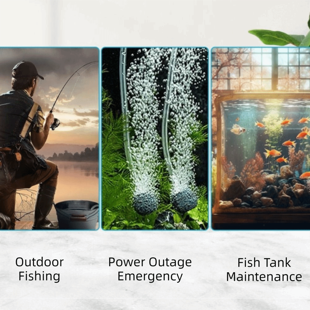 Aquarium Supplies Mini Fish Ta – обзор и цена Aquarium Fish And Supplies