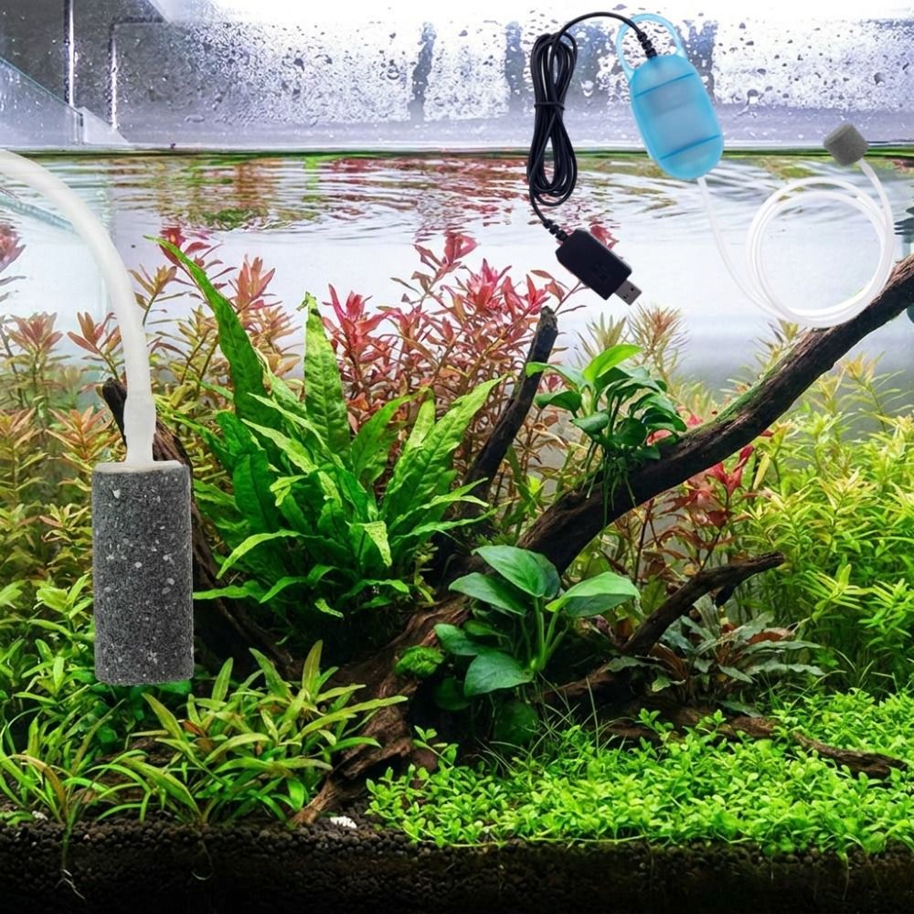 Aquarium Supplies Mini Fish Ta – обзор и цена Aquarium Fish And Supplies
