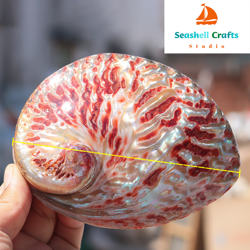 Home Decoration Red Pattern Ab – обзор и цена Aquarium Fish Breeding