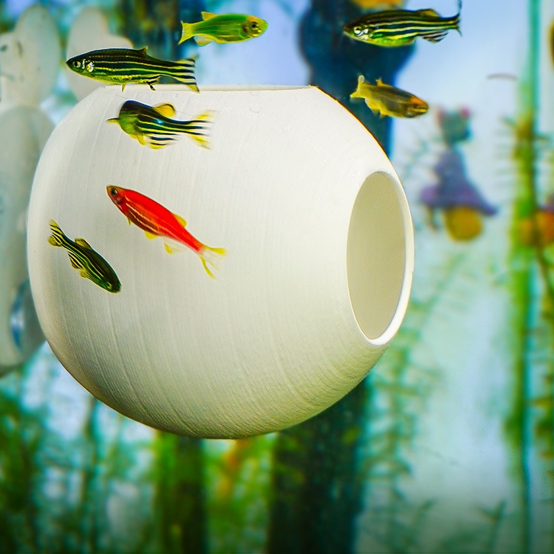 Aquarium Creative Ornament 3D  – обзор и цена Aquarium Fish Parrot