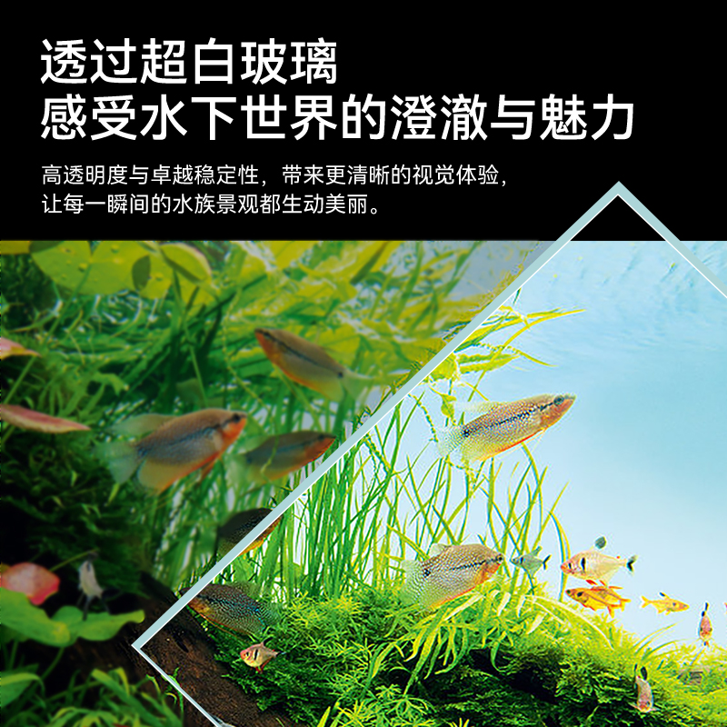 Fish tank living room 2025 new – обзор и цена Aquarium Fish Dragon