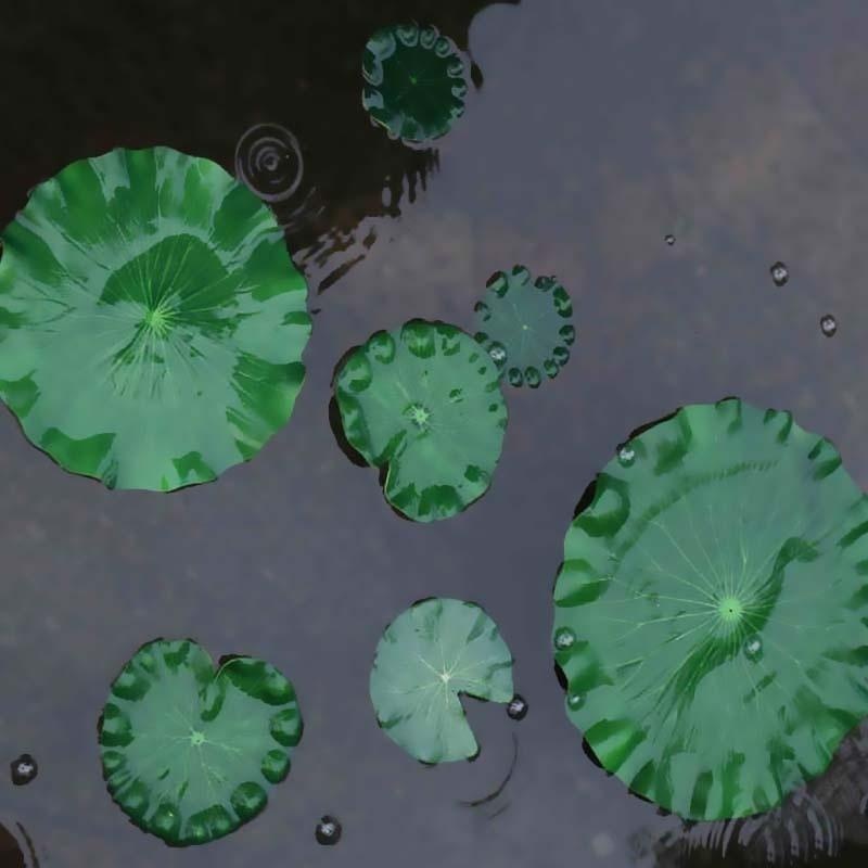 2026 Artificial Water Lily Lot – обзор и цена Aquarium Fish Breeding