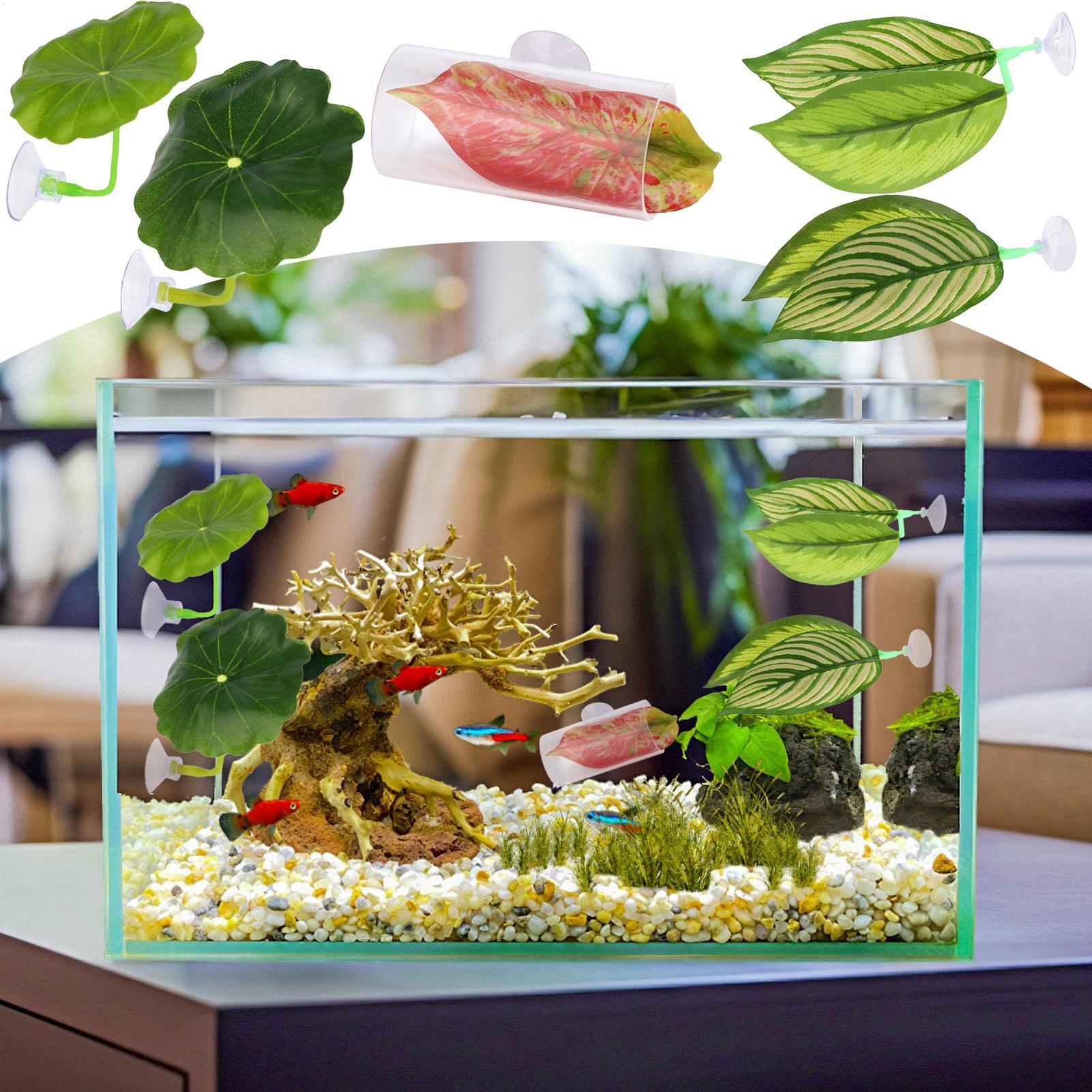 Betta Fish Hammock 5 Pieces Ad – обзор и цена Aquarium Fish Breeding