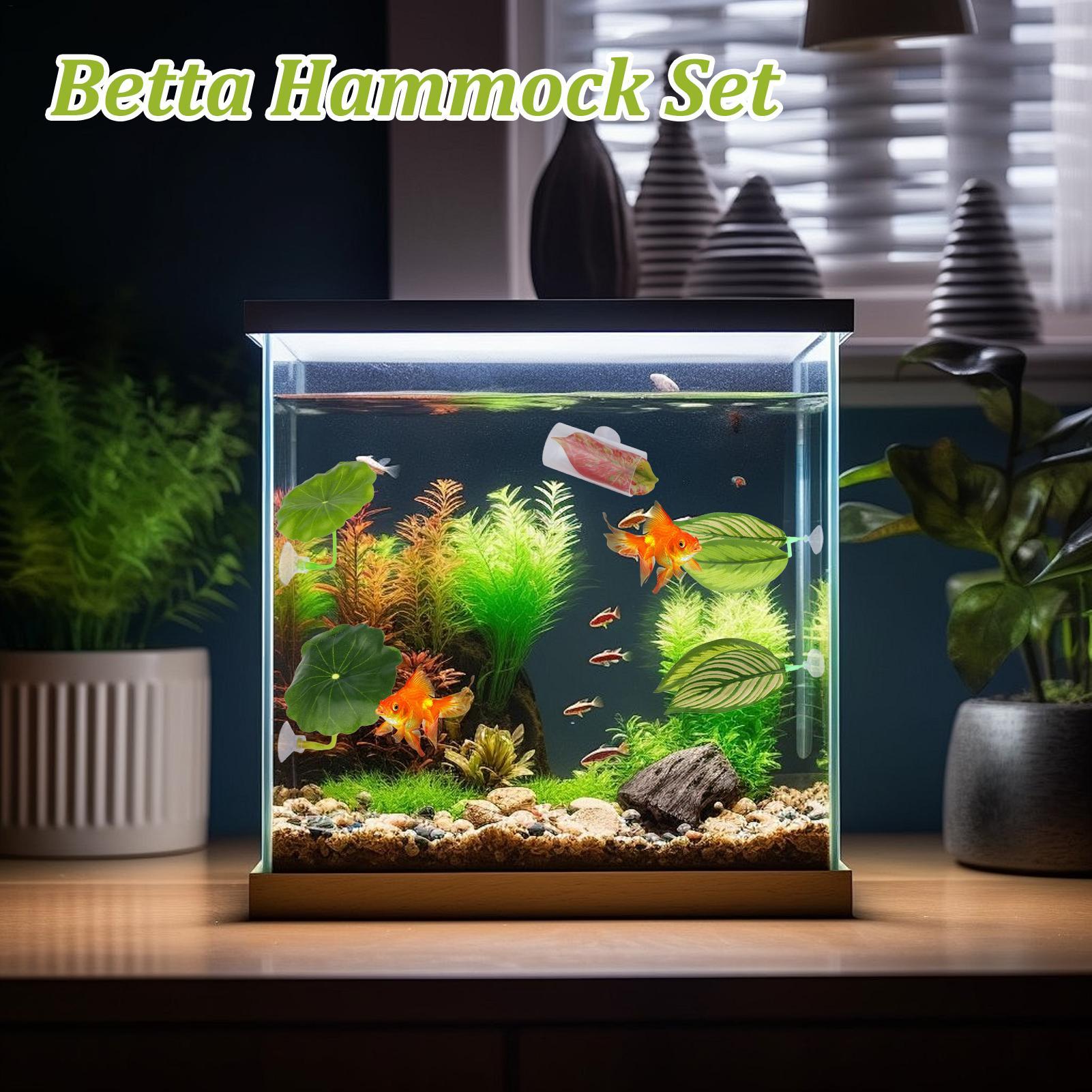 Betta Fish Hammock 5 Pieces Ad – обзор и цена Aquarium Fish Breeding