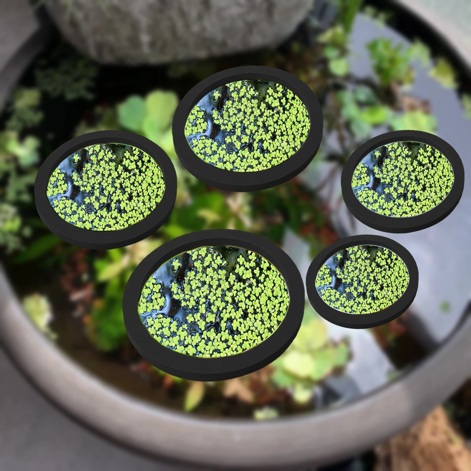 5Pcs EVA Fish Feeding Ring Aqu – обзор и цена Aquarium Fish Breeding