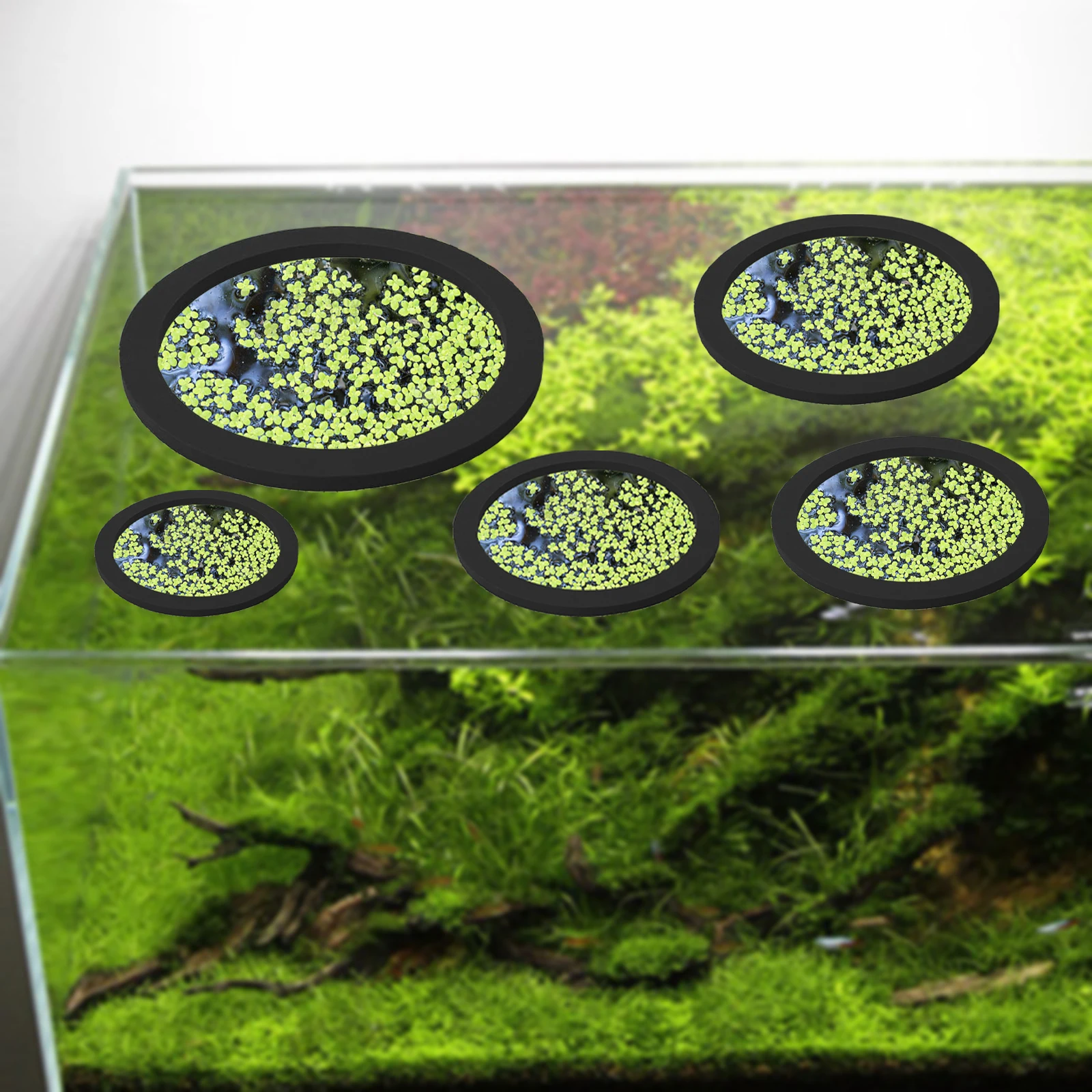 5Pcs EVA Fish Feeding Ring Aqu – обзор и цена Aquarium Fish Breeding