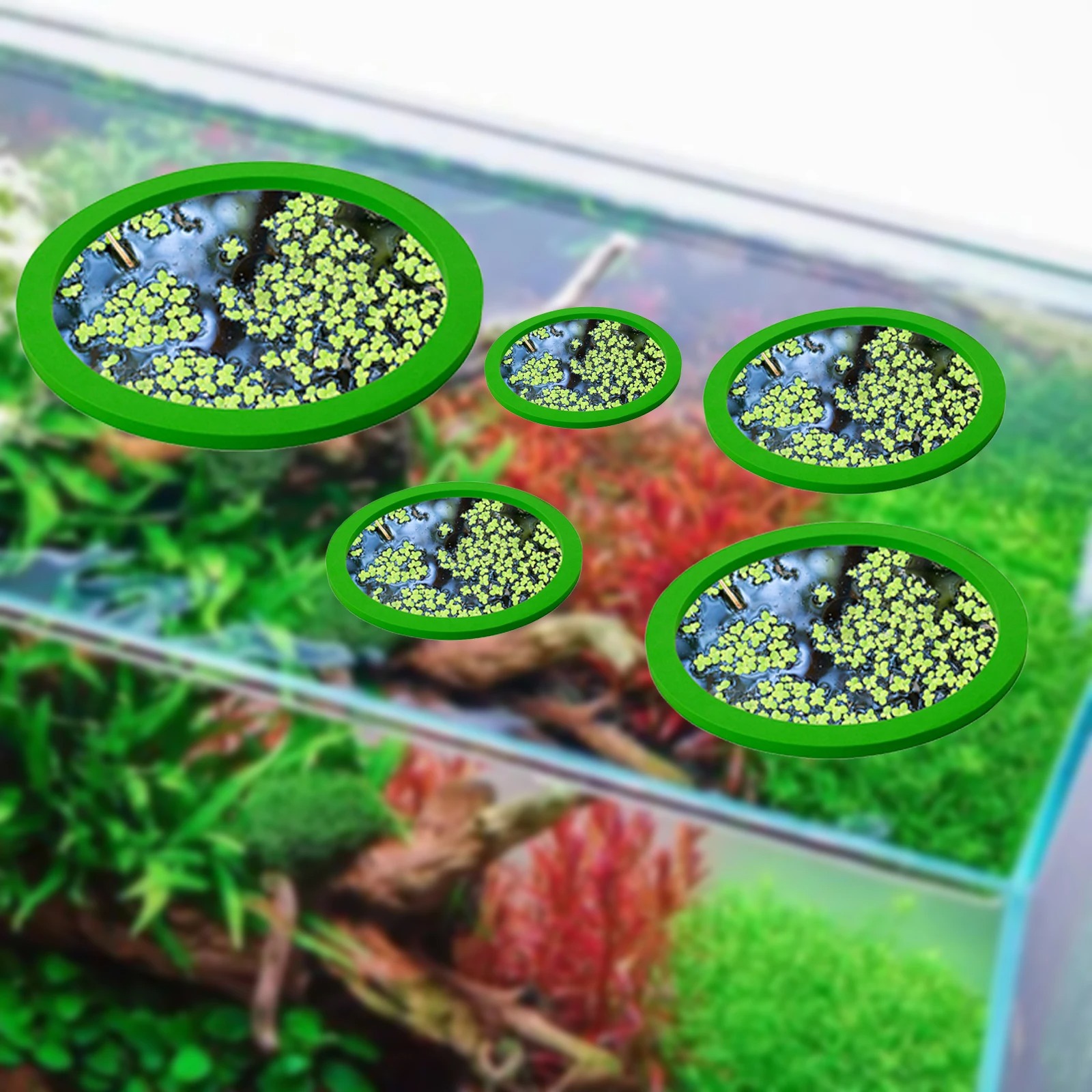 5Pcs EVA Fish Feeding Ring Aqu – обзор и цена Aquarium Fish Breeding