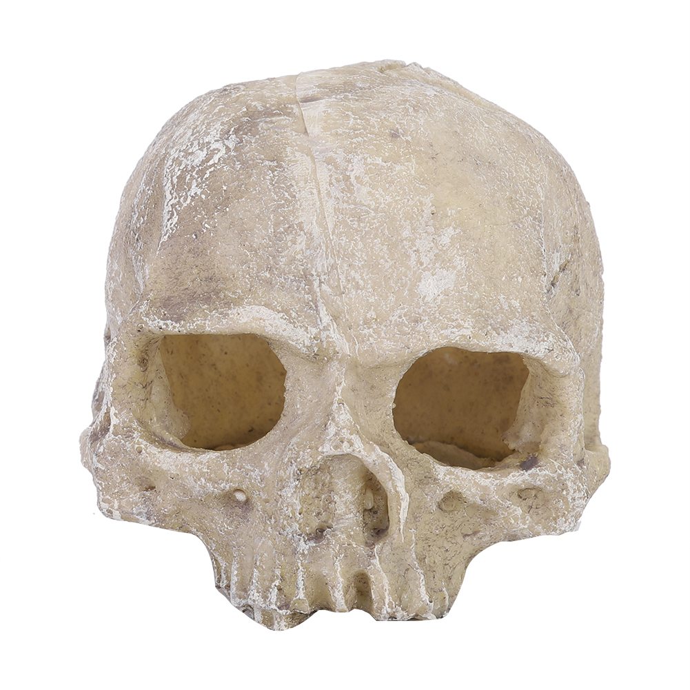 Resin Simulated Head Bone Skul – обзор и цена Aquarium Fish Hideout