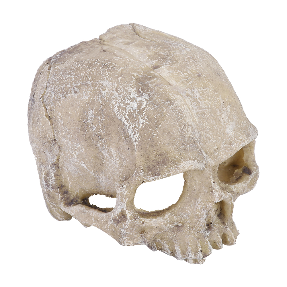 Resin Simulated Head Bone Skul – обзор и цена Aquarium Fish Hideout