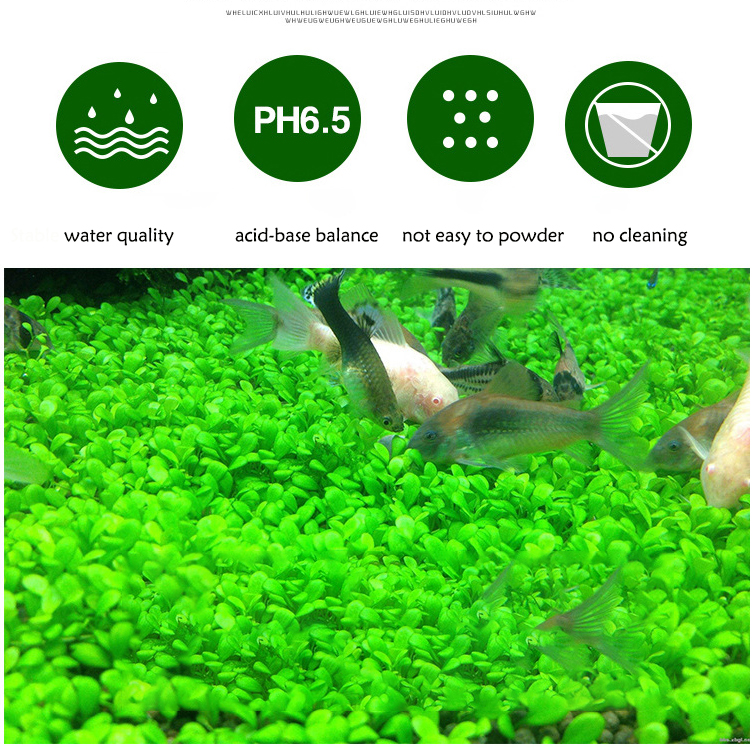 Aquarium Plant Seeds Soil Fish – обзор и цена Aquarium Fish Breeding