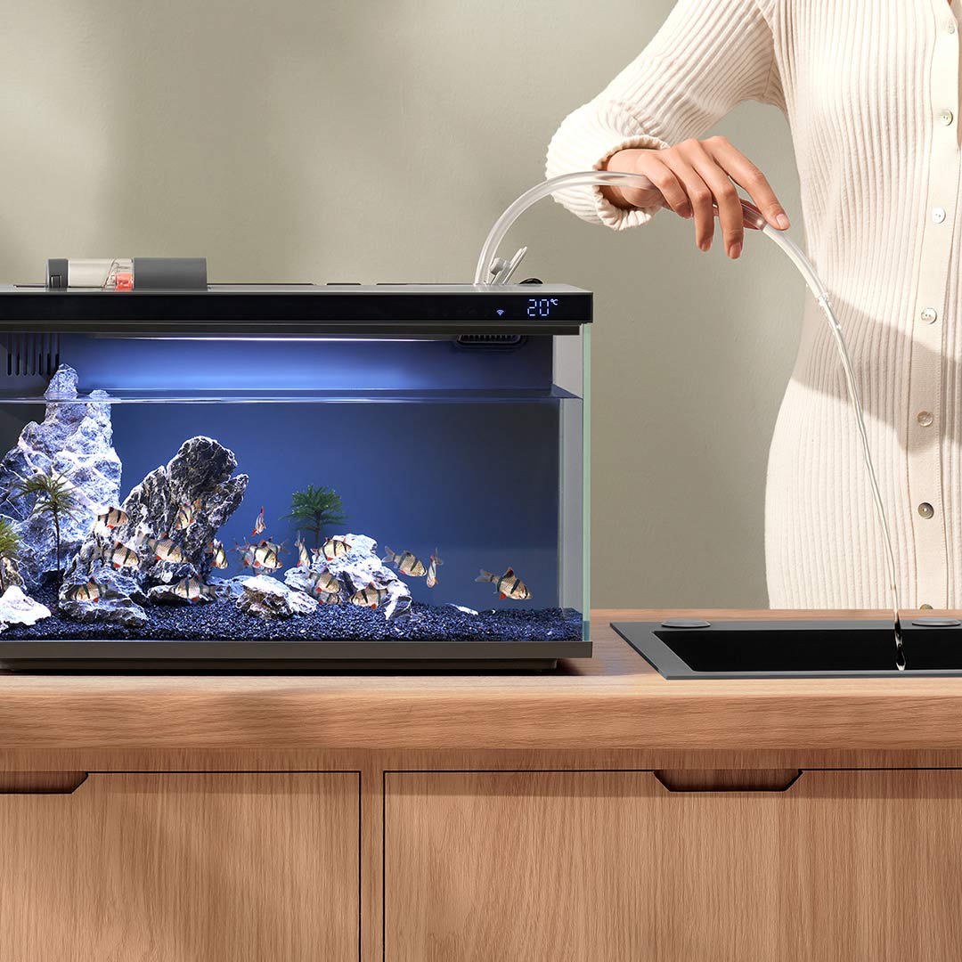 Xiaomi Mijia Smart Fish Tank M – обзор и цена Xiaomi Aquarium Fish Tank