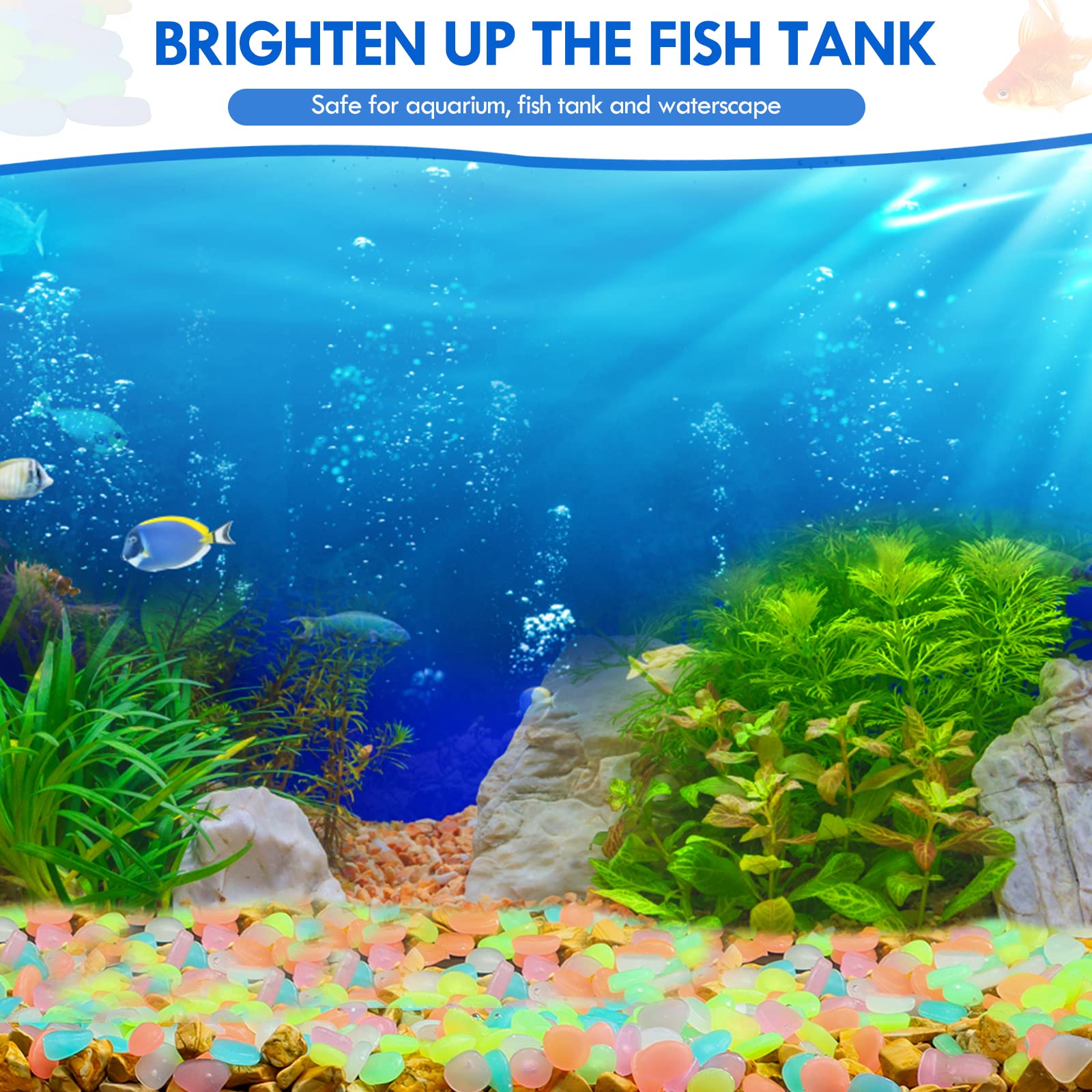 100Pcs Glow in the Dark Garden – обзор и цена Aquarium Fish House