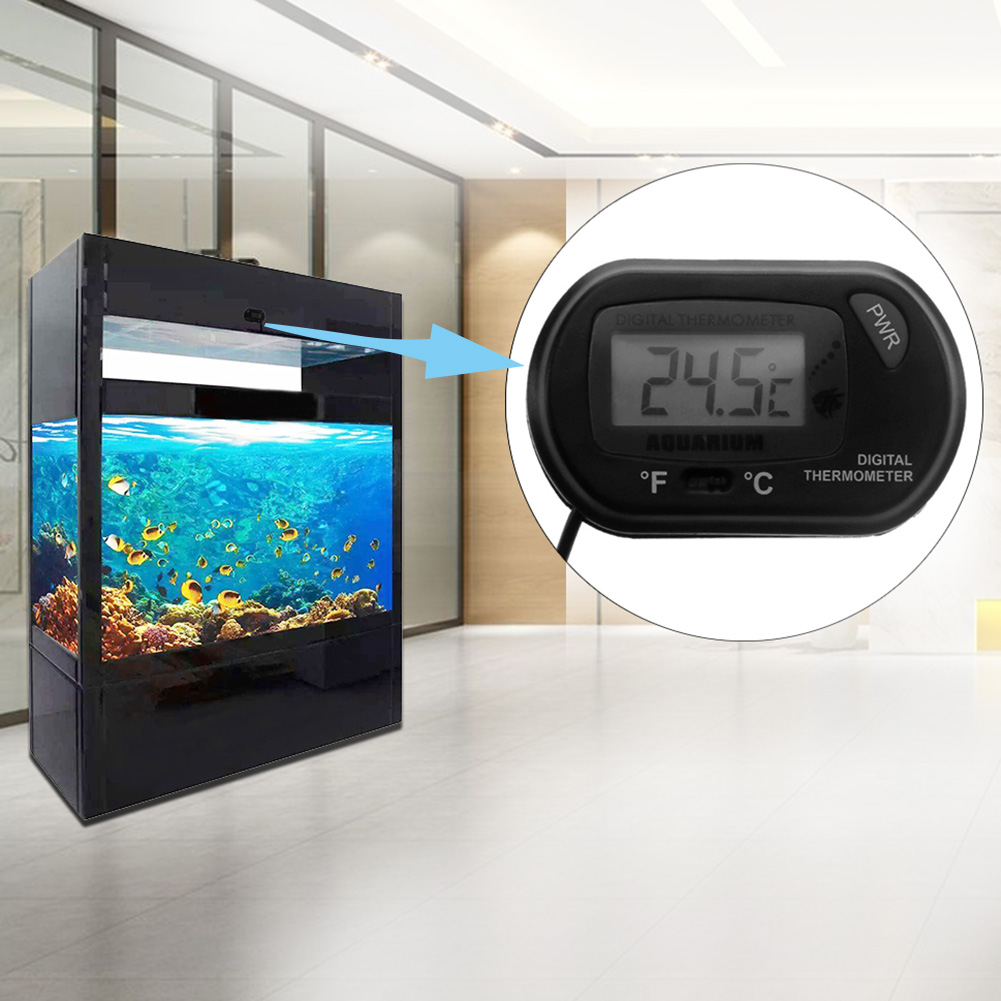 Aquarium Thermometer Suction C – обзор и цена Aquarium Fish And Supplies