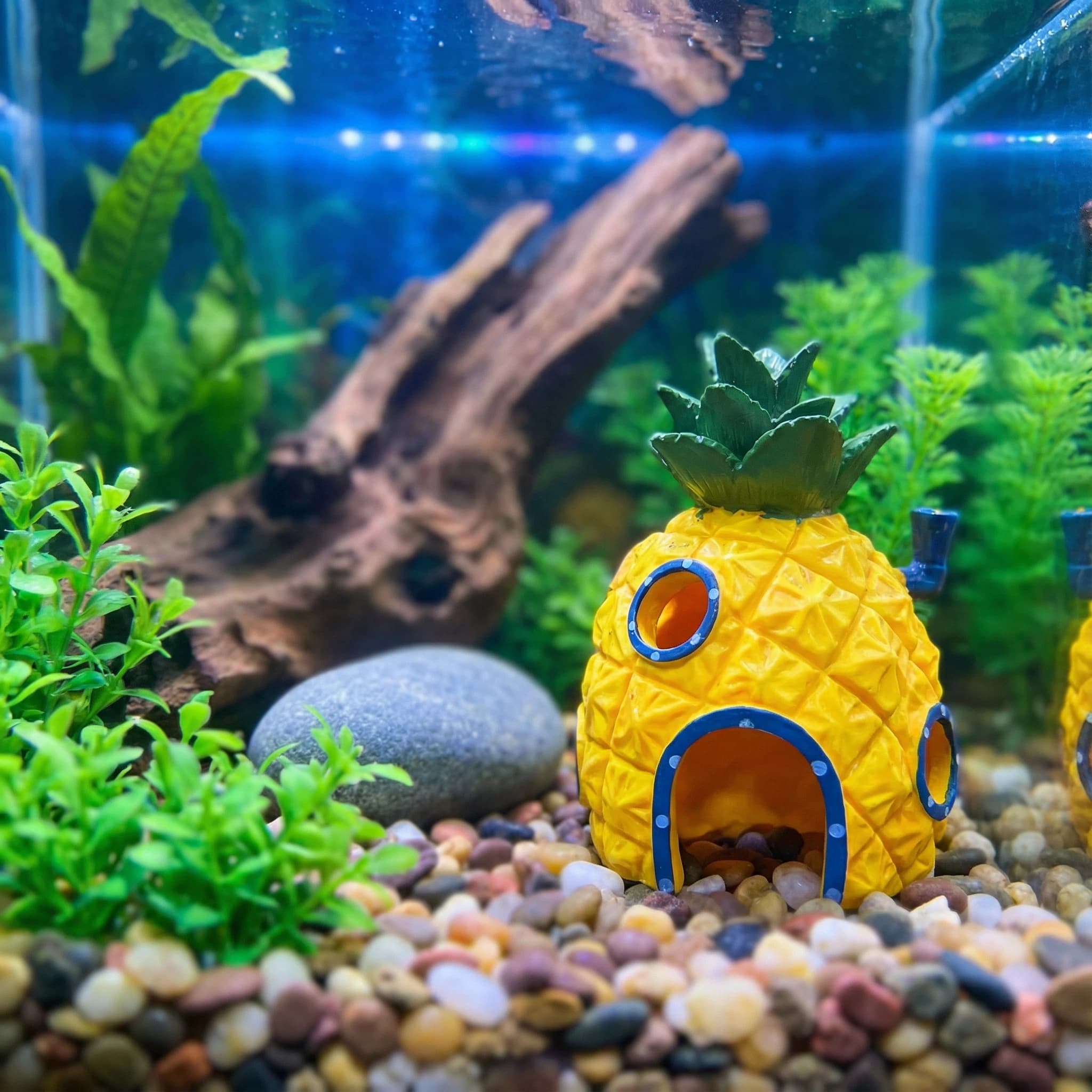 Pineapple House Aquarium Decor – обзор и цена Aquarium Fish Hideout