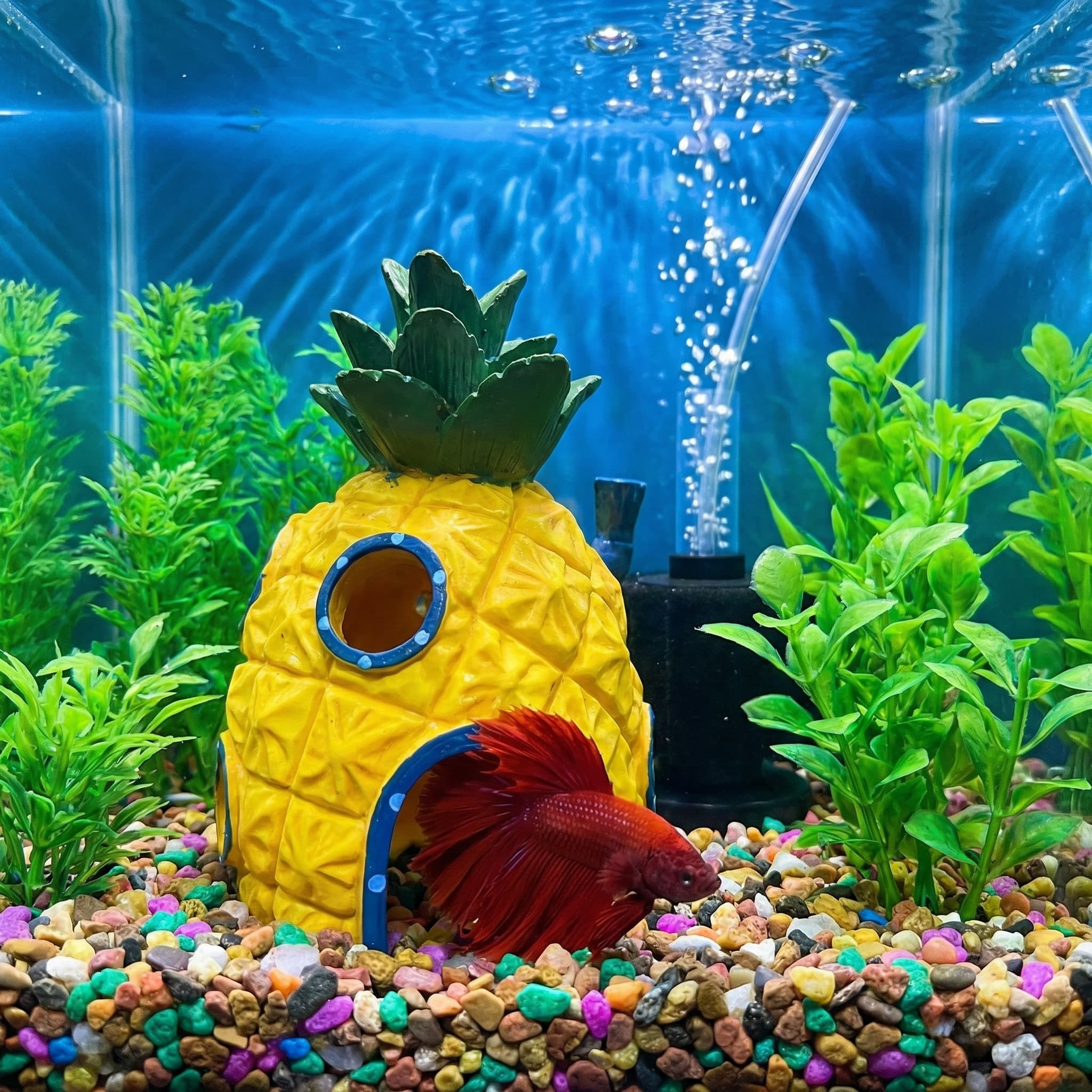 Pineapple House Aquarium Decor – обзор и цена Aquarium Fish Hideout