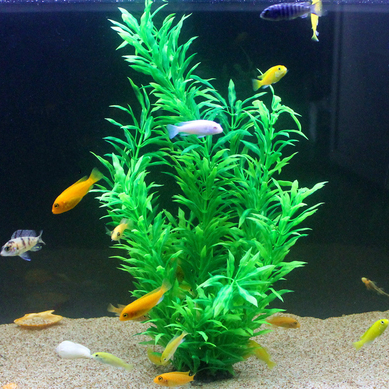 50CM Artificial Fish Tank Rare – обзор и цена Aquarium Fish Breeding