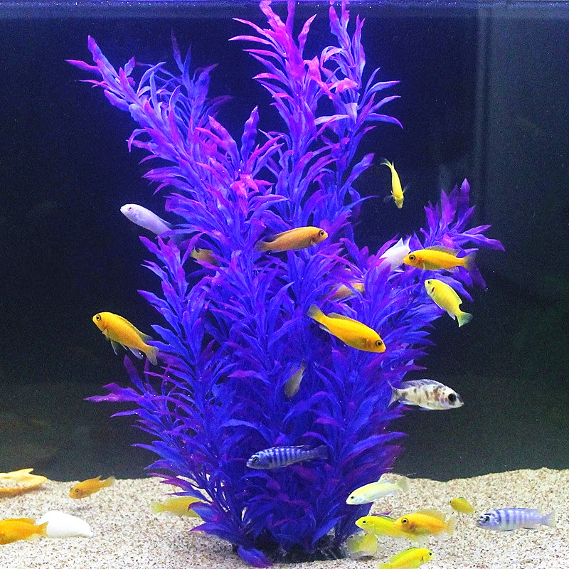 50CM Artificial Fish Tank Rare – обзор и цена Aquarium Fish Breeding