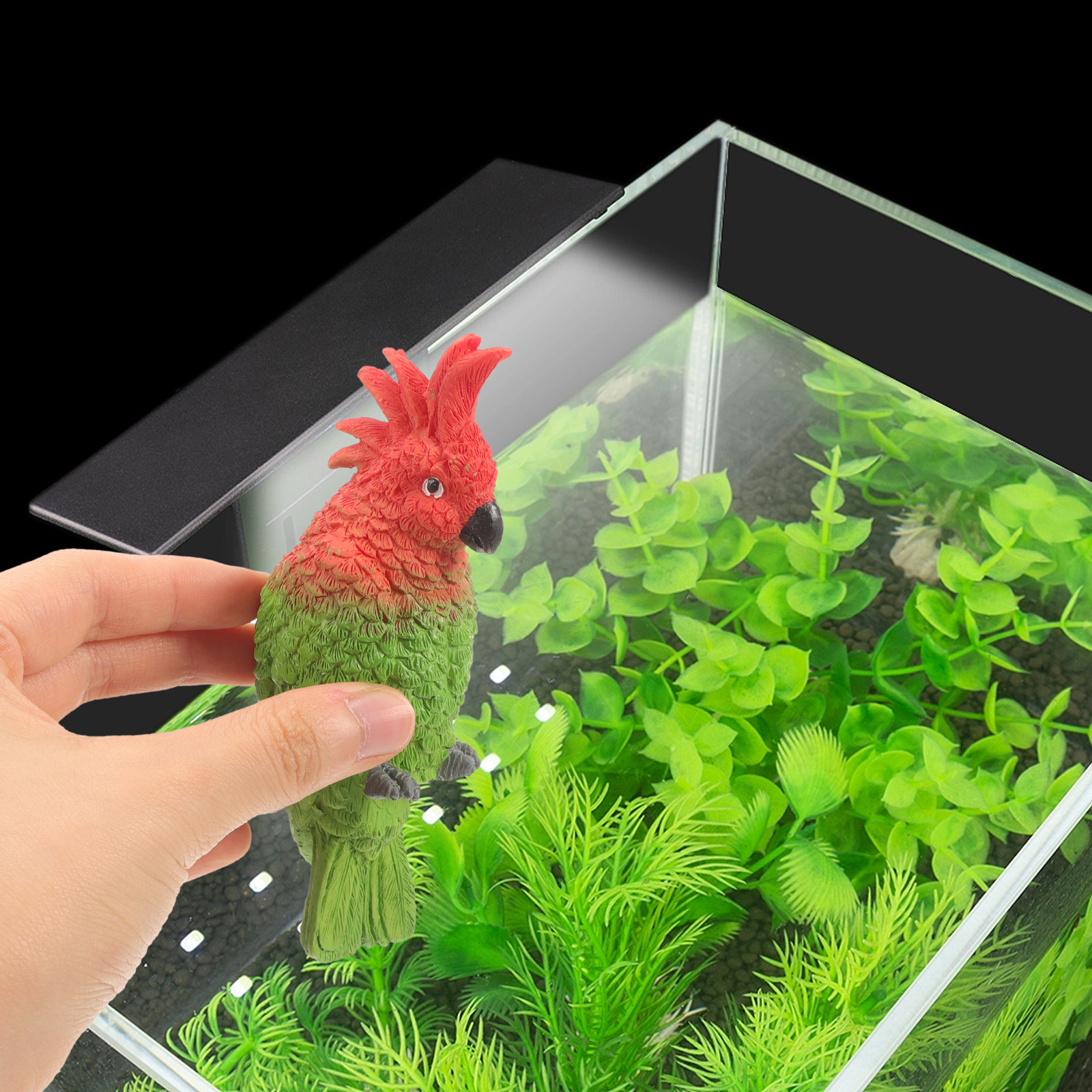 Mini Parrot Aquarium Wall Hang – обзор и цена Aquarium Fish Parrot