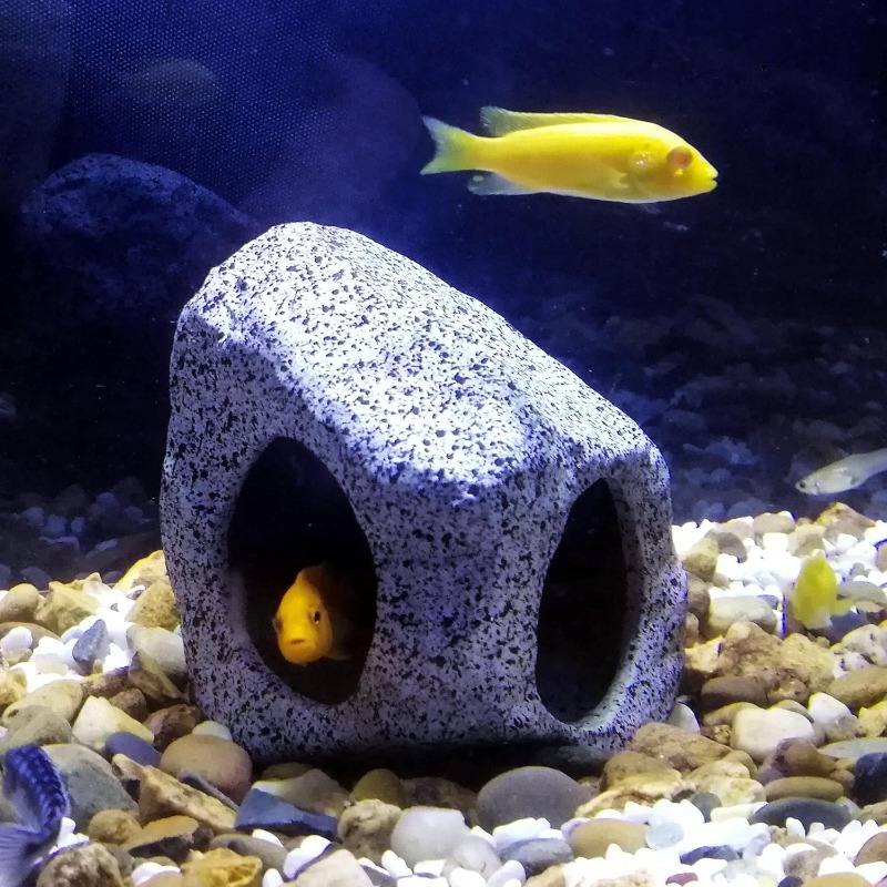 Fish Tank Cave Stone Landscapi – обзор и цена Aquarium Fish Hideout