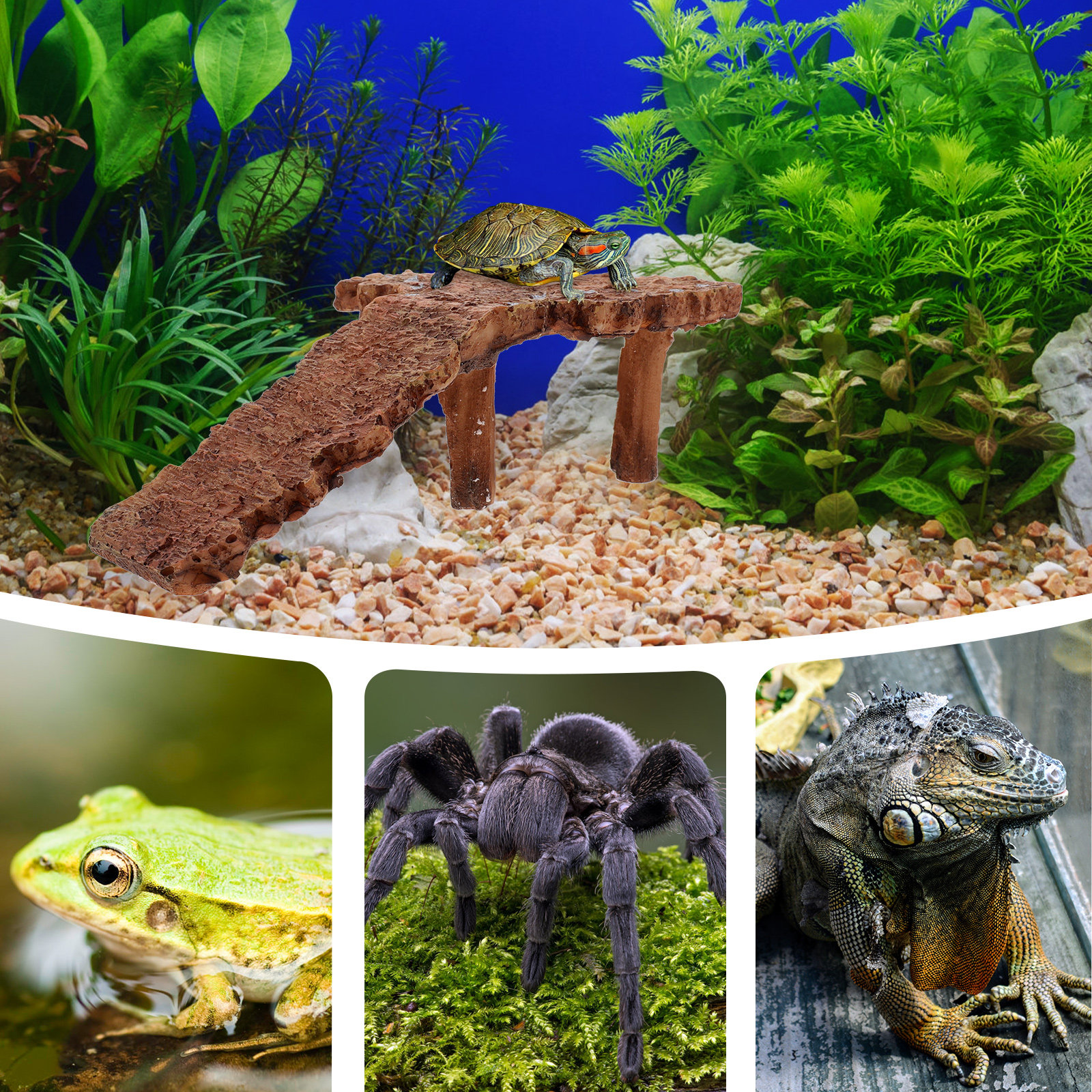 Creative Reptile Basking Platf – обзор и цена Aquarium Fish Dragon