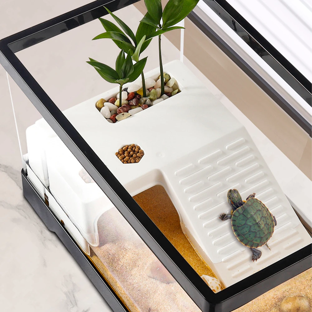 Large Transparent Turtle Tank  – обзор и цена Aquarium Fish Breeding