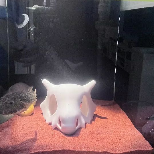 3D Printed FIsh Shrimp Reptile – обзор и цена Aquarium Fish Hideout